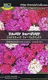 アルメリア シューダメリア ジョイスティック フォーミュラミックス　Prime Perennial Collection　約5粒