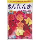 きんれんか (755)