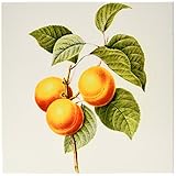 Dooni Designs Redouteフルーツと花 – Redouteヴィンテージ水彩フルーツapricot-peach Prunus Sp – タイル 12-Inch-Ceramic ct_10