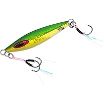 Amazon.co.jp: ダイワ(DAIWA) リールケース ソルティガ FKジグ SLJ 60g