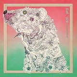 【Amazon.co.jp限定】『図鑑／琥珀』 (通常盤B)(特典:ビジュアルシート付)