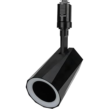 Amazon.co.jp ほしい物ランキング: 天井・壁埋込型スピーカー で