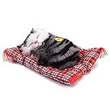 サクララ（Sakulala）眠る子猫 かわいい 座布団 ぬいぐるみ 置物 ニャ～と鳴き 超 リアル 赤ちゃん おやすみ おもちゃ にゃんこ