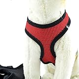 Lorny(TM) 高品質のメッシュの犬用ハーネスコンフォートペットハーネス新しい犬用品5色あり1個の犬の首輪
