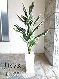 観葉植物 ホスタ H125 白鉢・皿付き 【人工観葉植物　造花】【CT触媒】