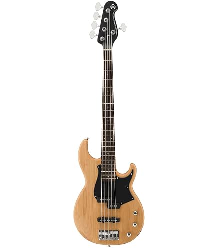 Amazon.co.jp: 【楽器店大賞2023受賞】ヤマハ YAMAHA BB235 RBR 5弦