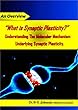 “What is Synaptic Plasticity?” Understanding the Molecular Mechanism underlying Synaptic Plasticity.- An Overview (English Edition)
