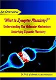 “What is Synaptic Plasticity?” Understanding the Molecular Mechanism underlying Synaptic Plasticity.- An Overview (English Edition)