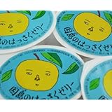 因島産八朔の果肉入りゼリー (ご家庭用セット【10個】)