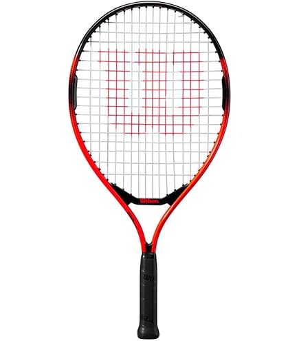 Wilson （k）BLADE TEAMテニスラケット 2本セット 41ESLIrLGyL._UF350,350_QL80_.jpg