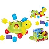 Cute pull along shape sorter turtle toy by A TO Z