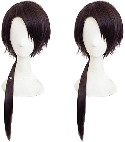 Amazon.co.jp: 花城 コスプレウィッグ 天官賜福 三郎 ウィッグ ロング