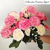meiliy 2 Bunches Fakeカーネーションシルク花高品質人工花ホームホテルオフィス結婚式パーティー庭クラフトアート装飾12インチ ピンク Meiliy-ML-003pi