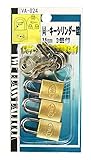 WAKI TWE 同一キーシリンダー錠 15mm 3個付