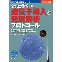 決定版 ウイルスベクターによる遺伝子導入実験ガイド〜培養細胞から