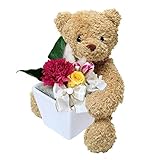 ぬいぐるみとお花のセットギフト（6色から選べるプリザ）（ピンクカーネーション）ギフト