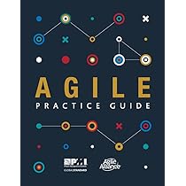 Amazon | The Project Management and A Guide to the Project