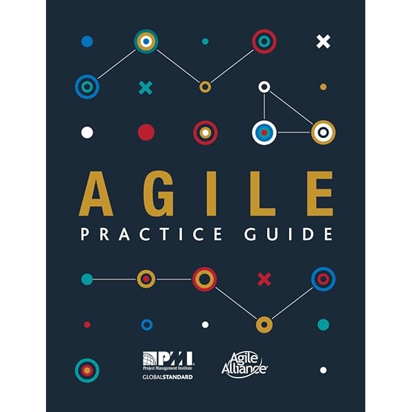 ビジネス・経済 A Guide to the Project Management 61hJfnCXTwL._UF350,350_QL50_.jpg