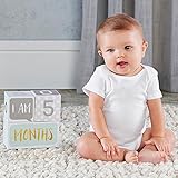 ベビーアスペン ギフト マイルストーン 月齢ブロック 出産祝い ba22002na