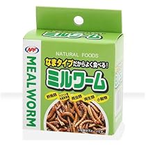 ミルワーム　生タイプ　35g×24箱入 5198guQAcKL._AC_UL210_SR210,