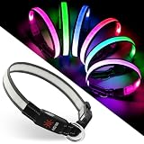 犬 光る首輪、 LED マルチカラー 犬用 7つの点灯モード USB-C充電式、リアルタイムバッテリーインジケーター、防水＆調節可能な光る首輪で、夜間の散歩も安心 高視認性 散歩用 中型犬 大型犬 小型犬 (M)