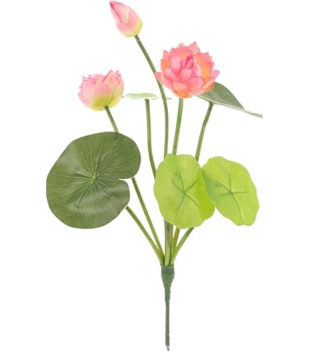 Amazon.co.jp: 入手困難 蓮の花紙 蓮紙 蓮ワーク 8色、計24束 : ホーム