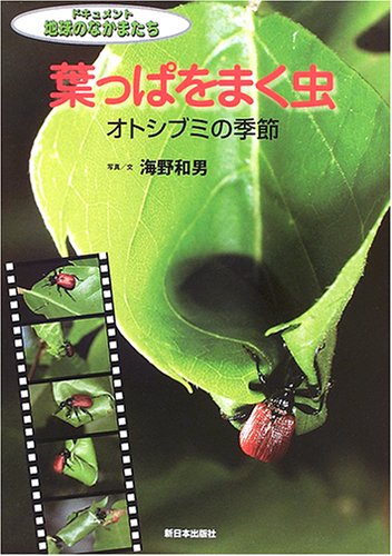 キリンクビナガオトシブミ 首が長すぎる虫: 魔王のアトリエ|珍生物調査