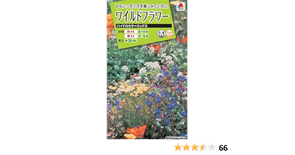 Amazon タキイ種苗 ワイルドフラワーハイドロカラーミックス 花