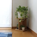 グリーン スタンド B 観葉植物 台 自然塗装 オイル 仕上げ 幅33 × 奥行22 × 高さ29cm ホワイトオーク 無垢材 国産 日本製 福岡県 ナイトテーブル サイドテーブル フラワースタンド