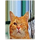 ブランケットソファーベッドスローCozy Plush Blanket Funny Cat閉じOne Eye 30"x40" オレンジ