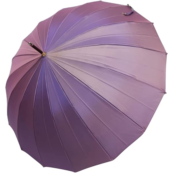 Amazon | 皇室御用達 前原光栄商店「前原日傘 晴雨兼用