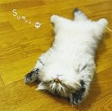 �܂邲��!�� -Summer-