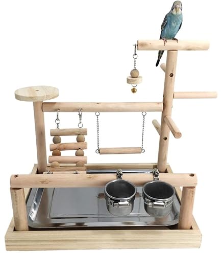 Amazon | 鳥の遊び場 止まり木 バードスタンド 天然木材 鳥 小鳥 文鳥