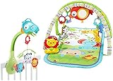 Fisher-Price Rainforest Gym and Mobile Gift Set [並行輸入品]