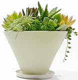 多肉植物寄せ植え5寸プラ鉢