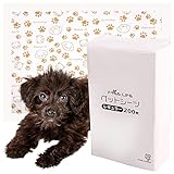 フリーリー ペットシーツ 薄型 レギュラー (1 (レギュラー 200枚))