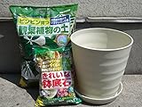 観葉植物植え替えセット　10号　鉢、土、皿、鉢底石セット