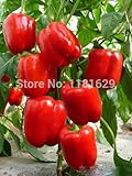 (Mix minimum order $5)1 pack 100Seeds Red Sweet Pepper Seeds vegetable seedsHigh budding rate fast g