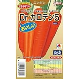 【種子】人参　Dr.カロテン５　ペレット種子　700粒 小袋