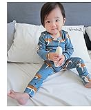 （ディゾン）dizoon 秋 冬 セット キッズパジャマ 子供 男の人 服 赤ちゃん服 パジャマ 新生児 綿100％ 長袖 長ズボン 6デザイン ピンク 青 灰 66cm 73cm 80cm 90cm