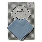 めんぷます田 赤ちゃんのハンカチガーゼ 2枚入り あおぞら色 25×25cm 綿100% 日本製