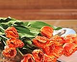 ノーブランド品　造花　3本　三本セット　鬱金香　チューリップ　観葉植物　人工観葉植物　インテリア　装飾　飾り付け　フラワー　飾り　雑貨　室内 装飾　珊瑚色　サンゴGeneric Artificial 