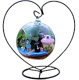 SACHI ハンギング テラリウム スタンド 付き 観葉植物 インテリア (１２ｃｍ, ハート タイプ)