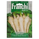 野菜の種 パースニップ DUGI BIJELI 95/2