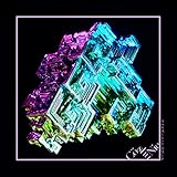 �T�C�R�v�[�������S�v�[�� Co shu Nie
