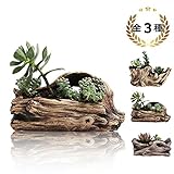 Felimoa 観葉植物・多肉植物 癒しの樹木風鉢 室内 プランターおしゃれ 癒しの古木風 レトロ 懐かしい 飾り（全3タイプ） (Aー2)