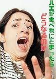 ハエが食べ物にとまったらどうなるのか？ What would happen if a fly settle on food? (no11)