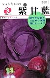 フクカエン 紫甘藍 レッドキャベツの種（タネ）