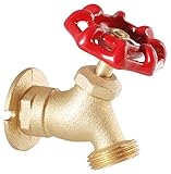 LDR 020 6103 1/2-Inch IPS Brass Sillcock with 3/4-Inch Hose Thread Outlet [並行輸入品]