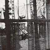 �P�C�I�X�E�A���h�E�N���G�C�V�����E�C���E�U�E�o�b�N���[�h�`����̍��ׂƑn��